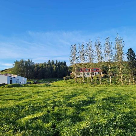Ferienwohnung The Old House Selfoss Exterior foto