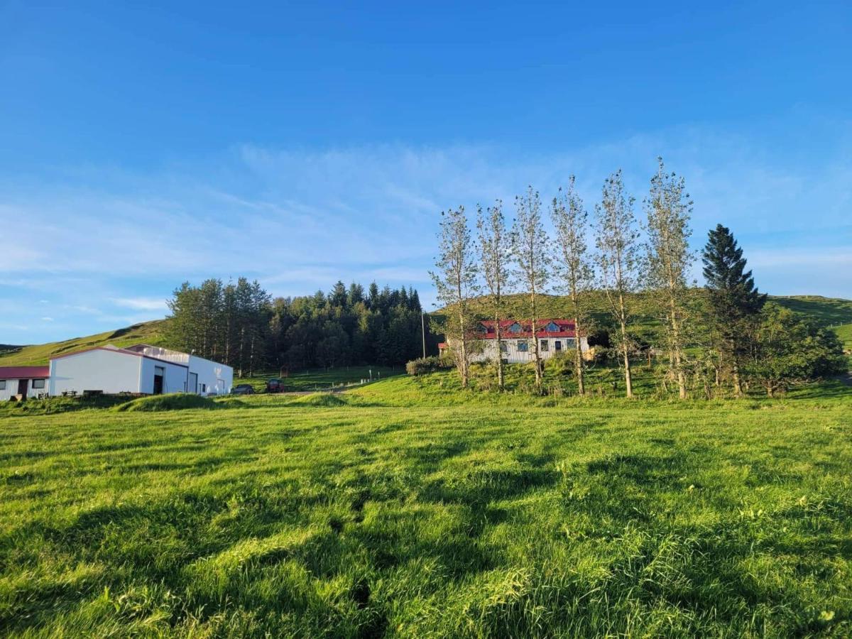 Ferienwohnung The Old House Selfoss Exterior foto